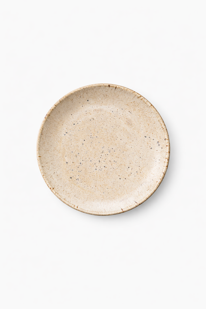 RAW PLATE 20